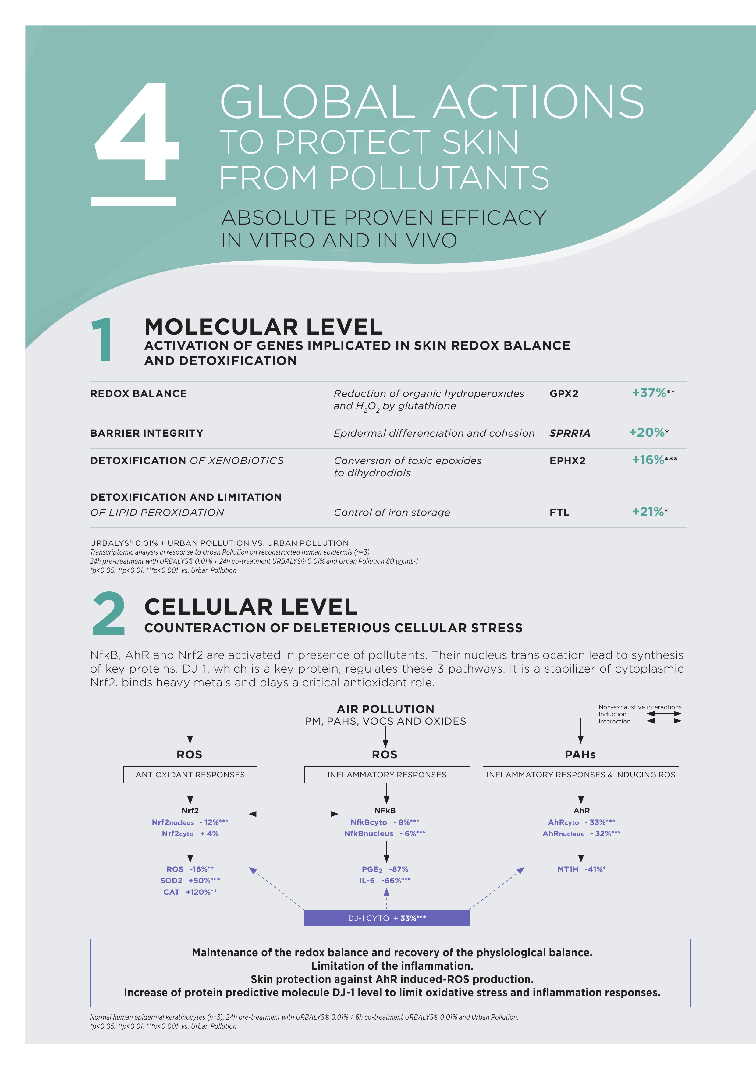 PDRN Anti-Pollution Mist Gel - 100ml